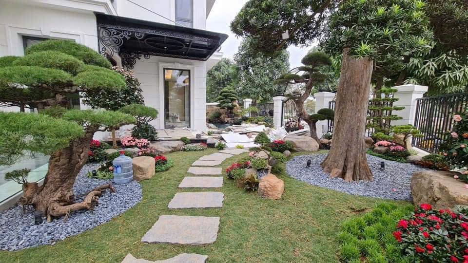 Thiết kế sân vườn biệt thự và hồ cá Koi